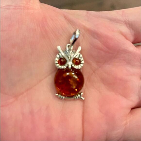 Stunning Baltic Amber Owl Necklace Statement Pendant Charm Sterling Silver New - Picture 2 of 4